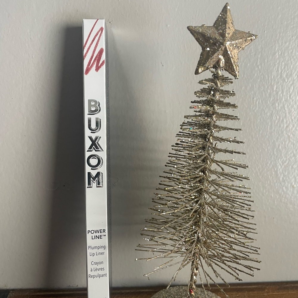 Buxom Power Line Lip Liner in “Dangerous Dolly”